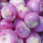 onion red peeled freshleaf dubai uae