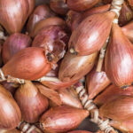 onion shallots freshleaf dubai uae