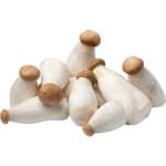 online baby king oyster mushroom dubai freshleaf uae