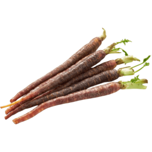 online baby purple carrot dubai freshleaf uae