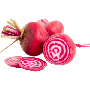 online beetroot chioggia dubai freshleaf uae