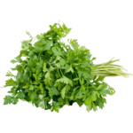 online parsley dubai freshleaf uae