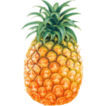 online pineapple dubai freshleaf uae