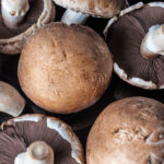 online portobello mushroom dubai freshleaf uae