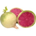 online watermelon radish dubai freshleaf uae