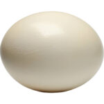 ostrich-eggs-freshleaf-dubai-uae