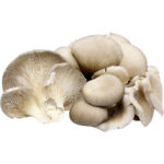 oyster mushroom freshleaf dubai uae