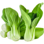 pak choi baby freshleaf dubai uae