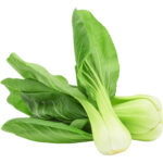 pak choi baby freshleaf dubai uae