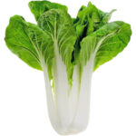 pak choi freshleaf dubai uae