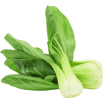 pak choi freshleaf uae