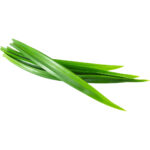 pandan leaves freshleaf dubai uae