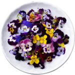 pansy flowers freshleaf dubai uae