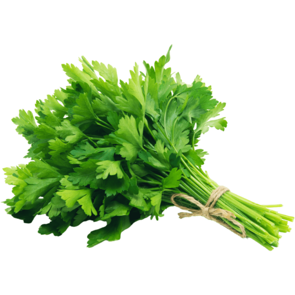 parsley dubai freshleaf uae