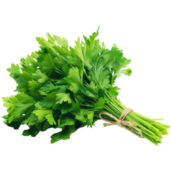 parsley freshleaf dubai uae