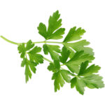 parsley freshleaf dubai uae