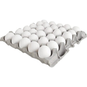 pasteurized eggs freshleaf dubai uae