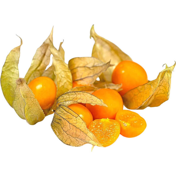 physalis gooseberries freshleaf dubai uae