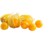 physalis gooseberries freshleaf dubai uae