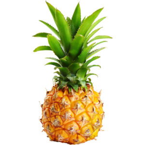 pineapple baby freshleaf dubai uae