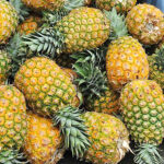 pineapple baby freshleaf dubai uae