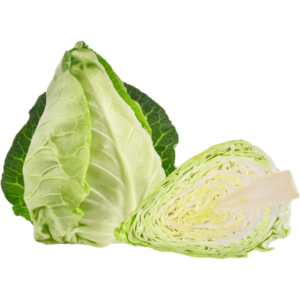 pointed cabbage dubai freshleaf uae