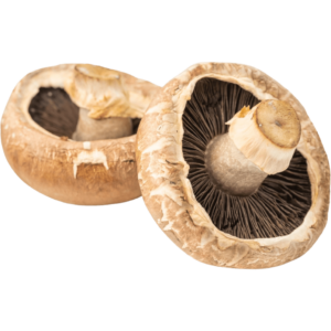 portobello mushroom dubai freshleaf uae