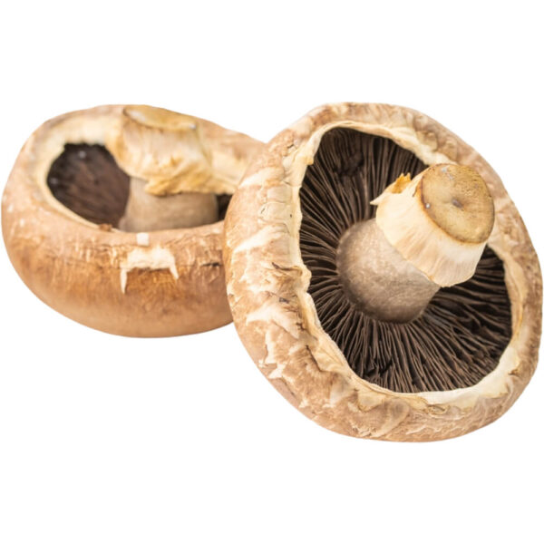 portobello mushroom freshleaf dubai uae