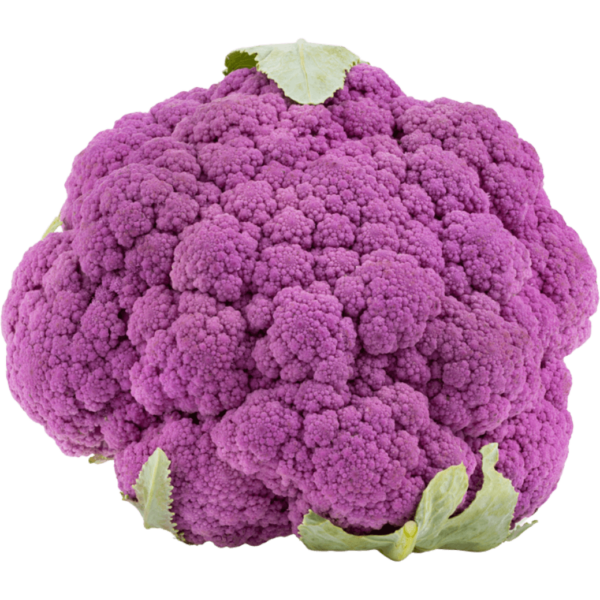 purple cauliflower dubai freshleaf uae