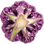 purple cauliflower freshleaf dubai uae