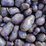 purple potatoes freshleaf dubai uae