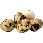 quail egg freshleaf dubai uae