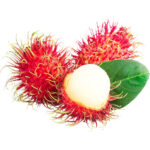 rambutan freshleaf dubai uae