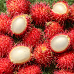 rambutan freshleaf dubai uae