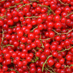 red currant fresh fruit freshleaf uae