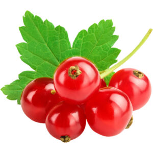 red currant freshleaf dubai uae