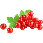 red currant freshleaf dubai uae