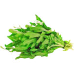 rocca leaves 250g freshleaf dubai uae