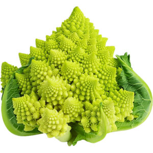 romanesco freshleaf dubai uae