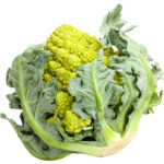 romanesco freshleaf dubai uae