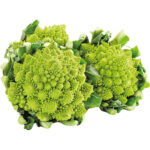 romanesco freshleaf dubai uae