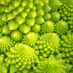 romanesco freshleaf dubai uae