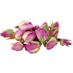 rose buds premium freshleaf dubai uae