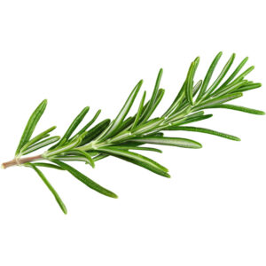 rosemary freshleaf dubai uae