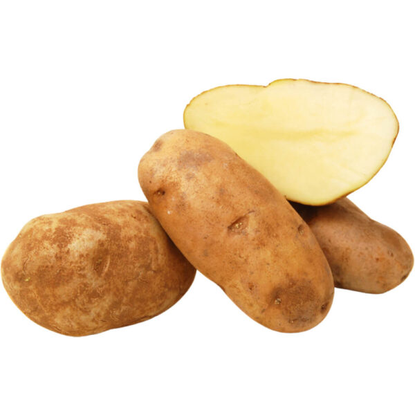 russet idaho potatoes freshleaf dubai uae