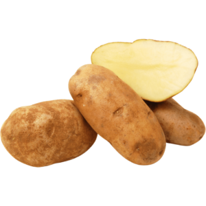 russet idaho potatoes freshleaf uae