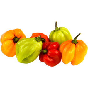 scotch bonnet freshleaf uae