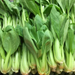 shanghai pak choi freshleaf uae