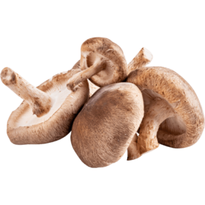 shiitake freshleaf uae