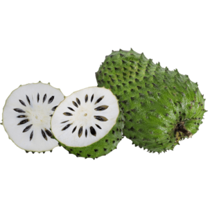 soursop dubai freshleaf uae